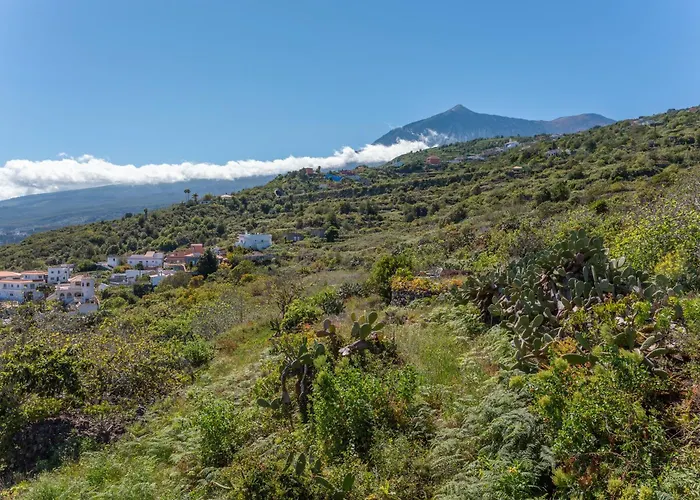 Casas Del Bisa 度假居 加拉奇科